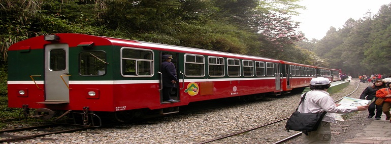 來一趟山林漫遊之旅 搭乘阿里山森林火車